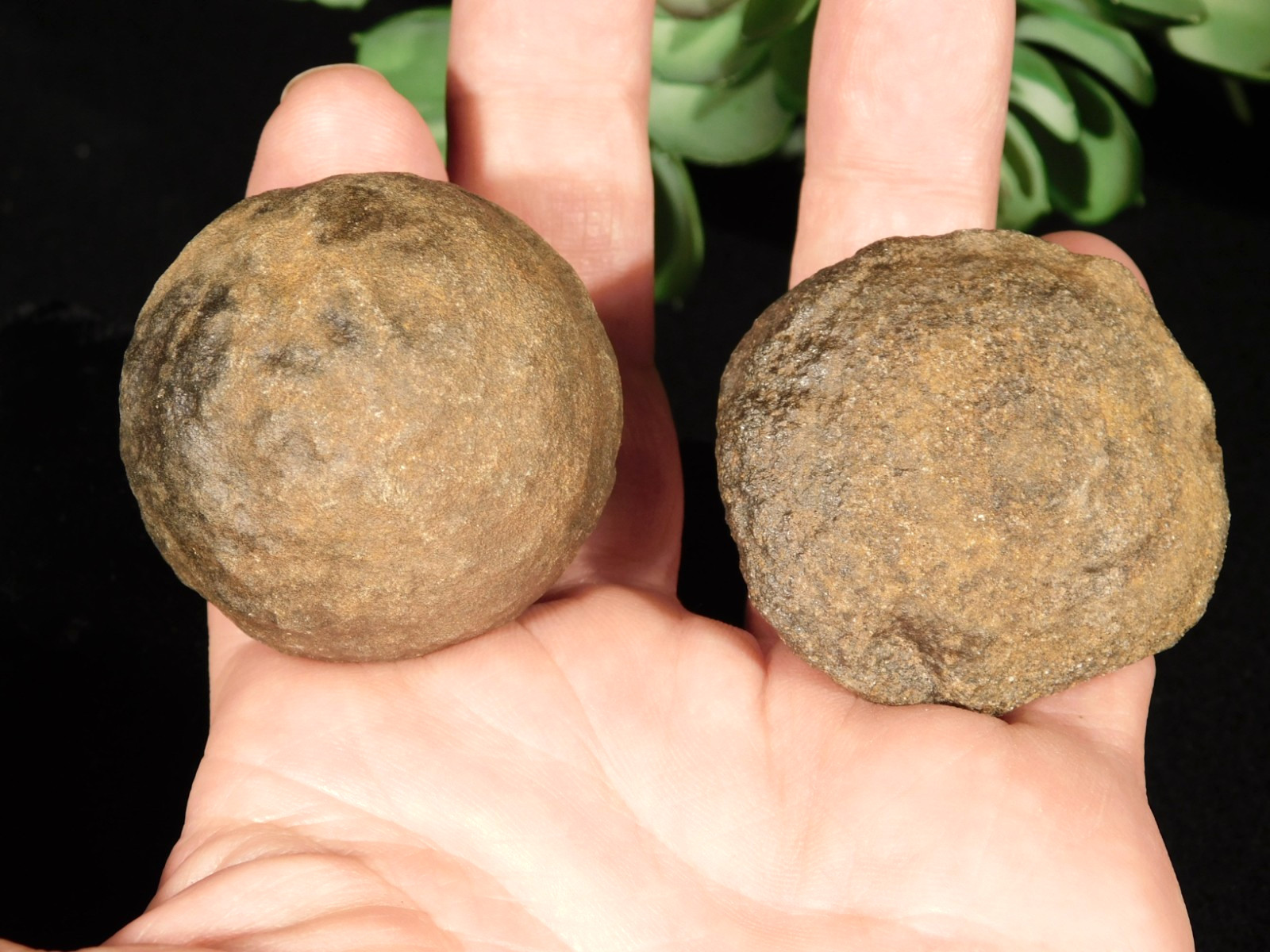 MOQUI Marble / Shaman Stone PAIR 100% Natural Utah 159gr