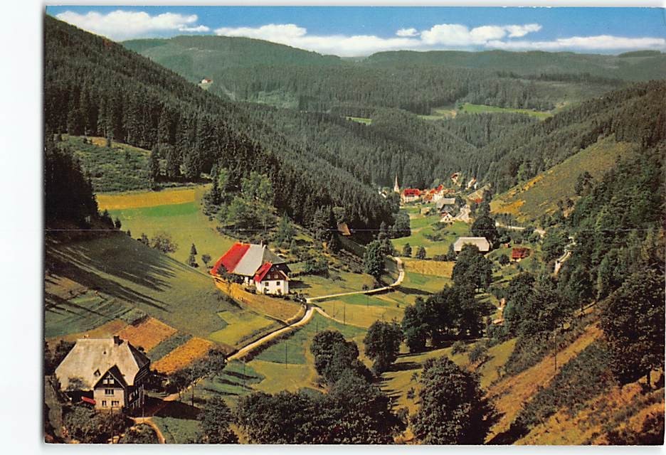 Postcard Blick ins Nußbachtal bei Triberg Germany