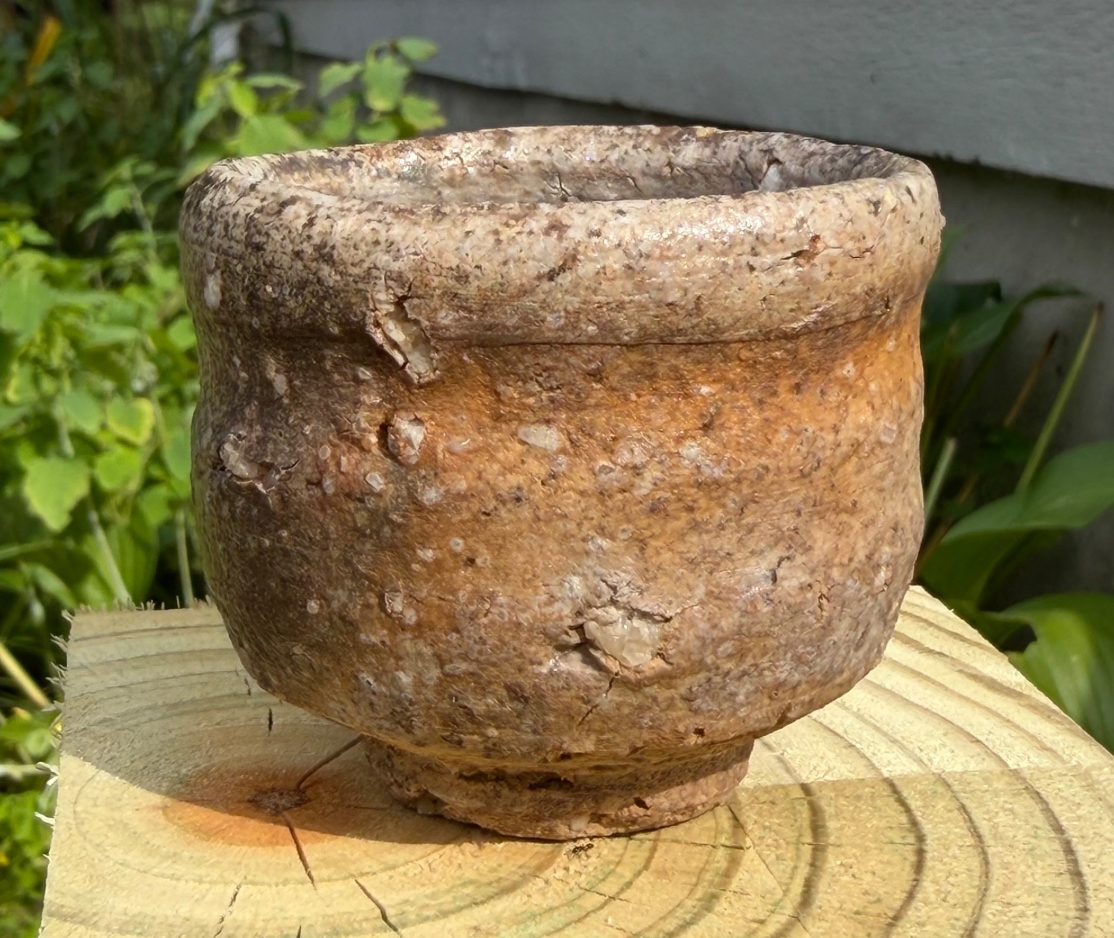 Shigaraki Ware Guinomi Sake Cup by Furutani Michio