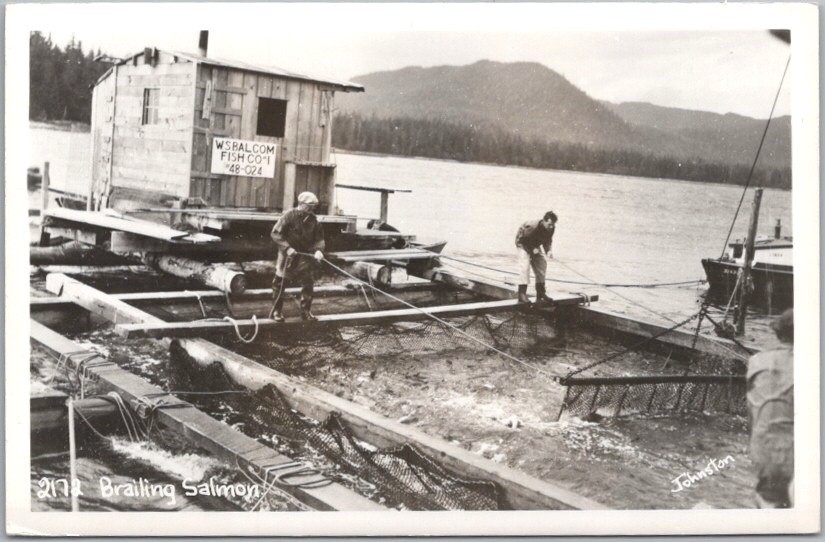 Vintage 1950s Alaska Real Photo RPPC Postcard \