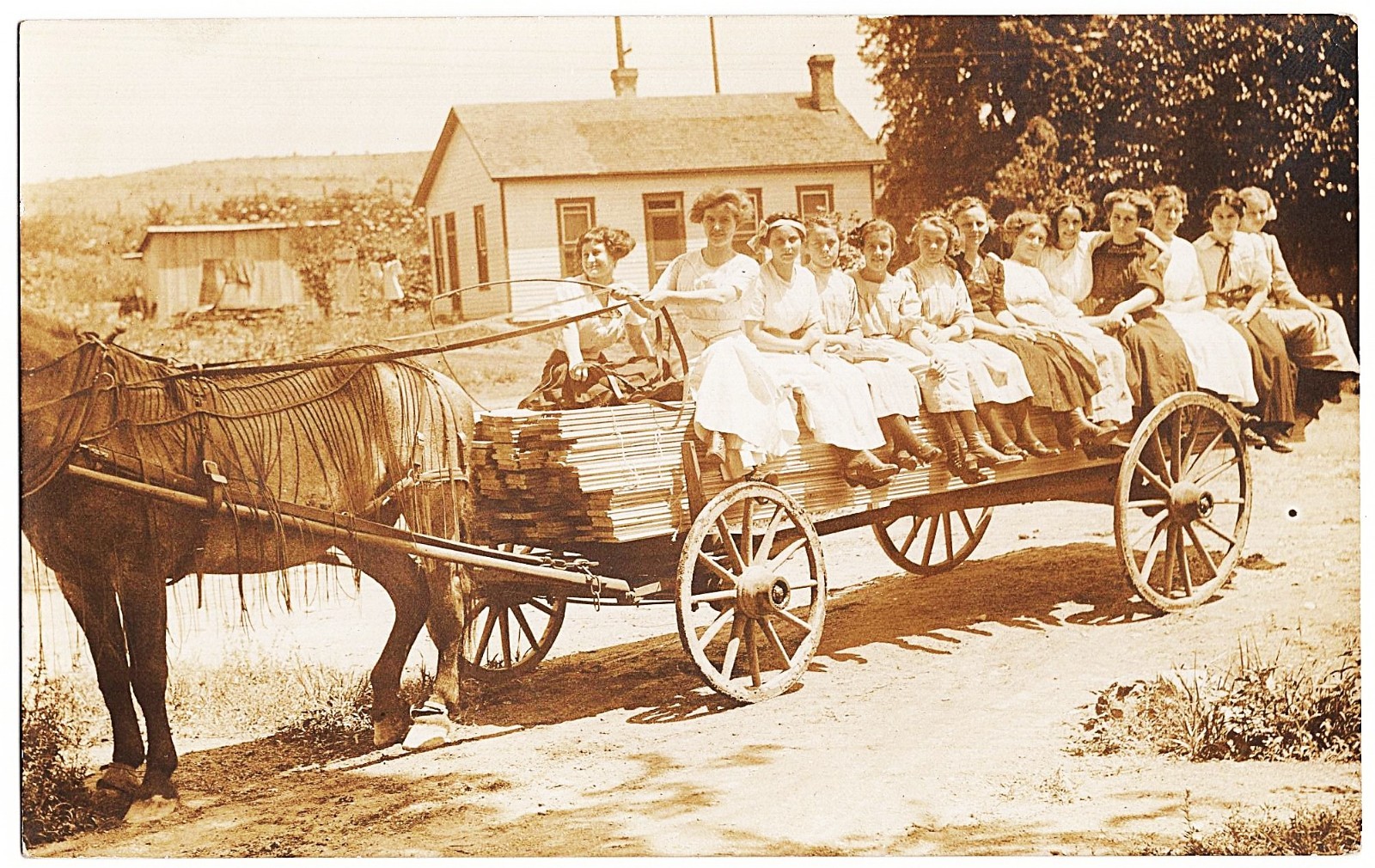 real photo Lumber Wagon Horse Drawn Women antique postcard RPPC