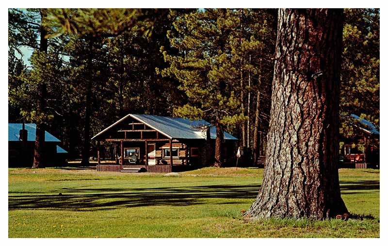 Blairsden CA postcard COTTAGE ALONG THE GOLF COURSE s/06 AQ2908