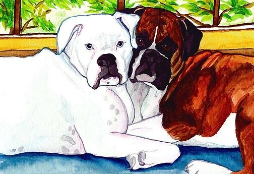 13x19 BOXER Fawn White Signed Dog Art PRINT of Original Watercolor Painting VERN