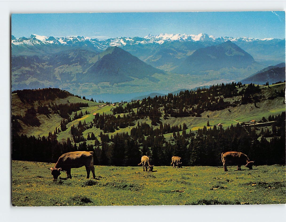 Postcard Blick vom Rigi Kulm Switzerland