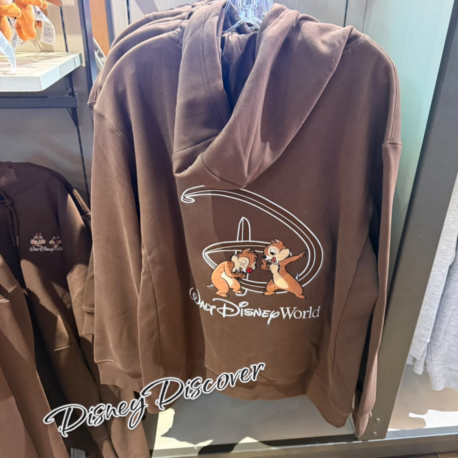 2026 Walt Disney World Parks Chip & Dale Pullover Sweatshirt Hoodie Adult XL