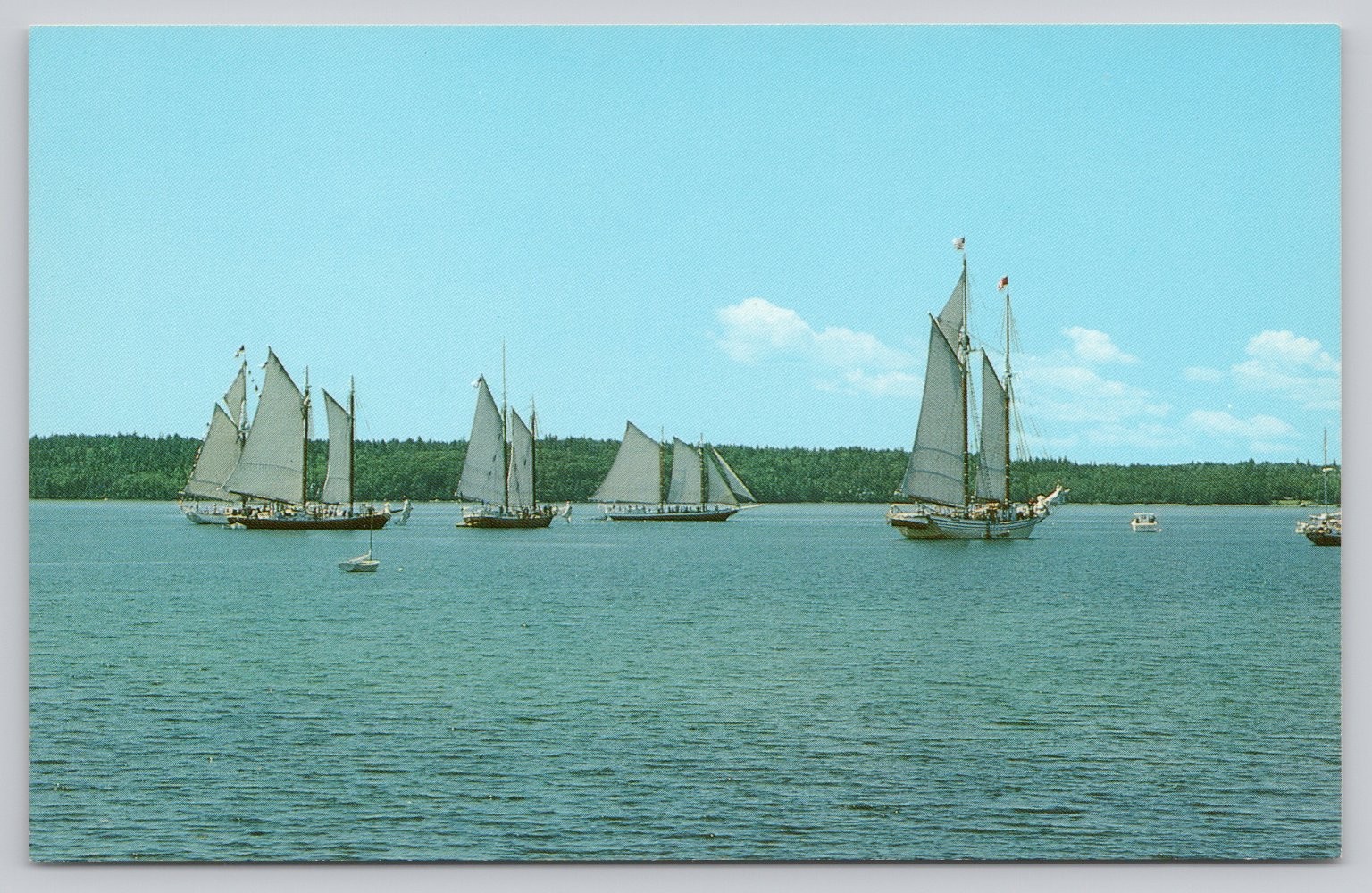 Camden Maine Charter Schooners Eggemoggin Reach Photochrome Postcard