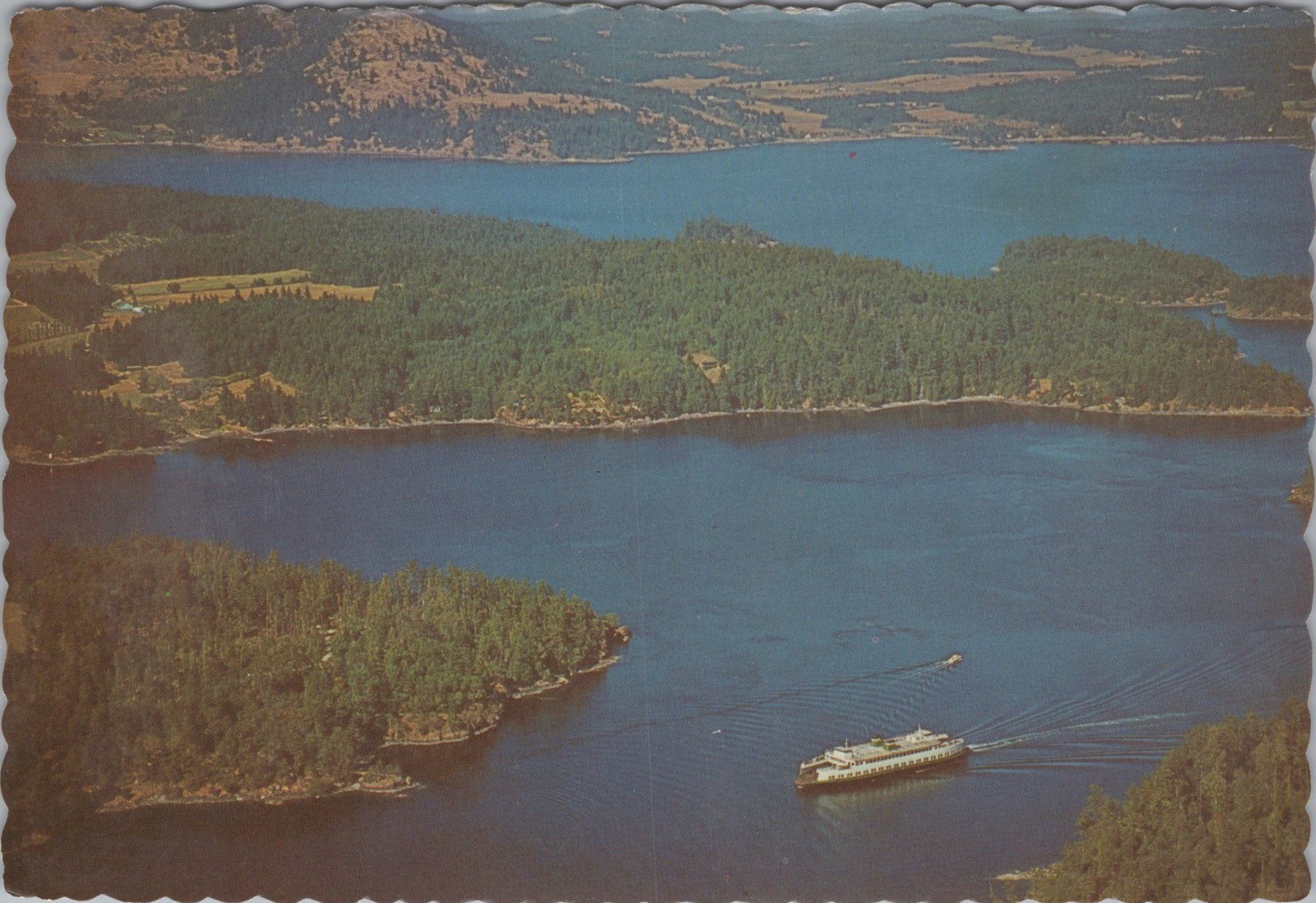 Washington WA Aerial view of the motor ferry Evergreen State 4x6 Postcard