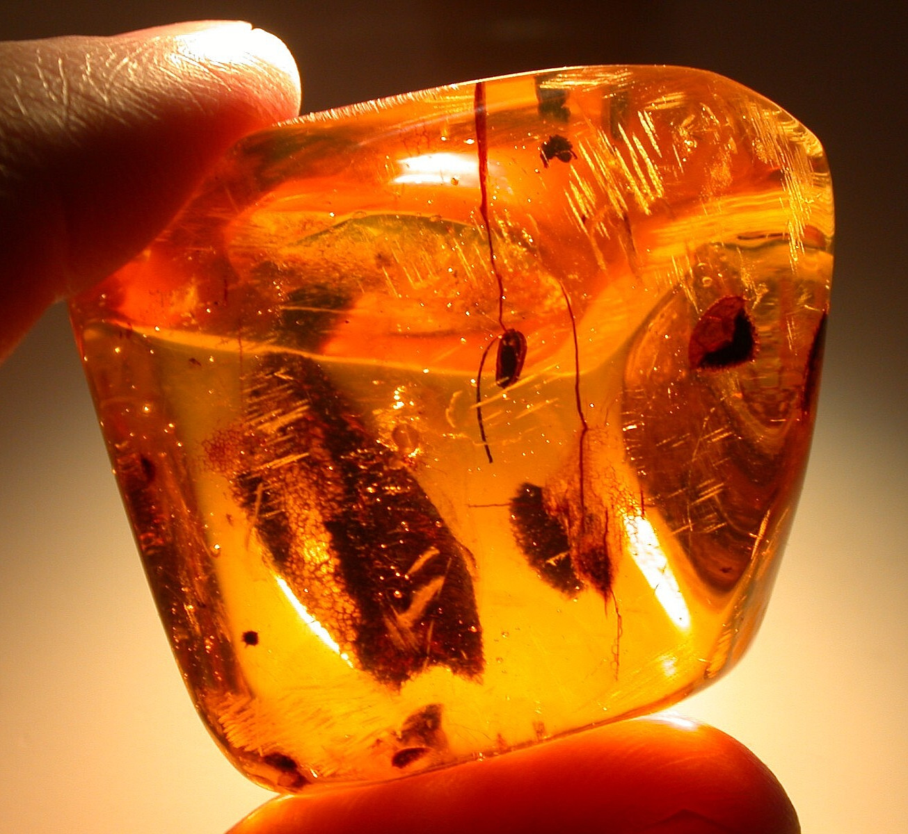 Flower Stamen with Flies in Dominican Amber Fossil Gemstone LARGE 21 gram Piece