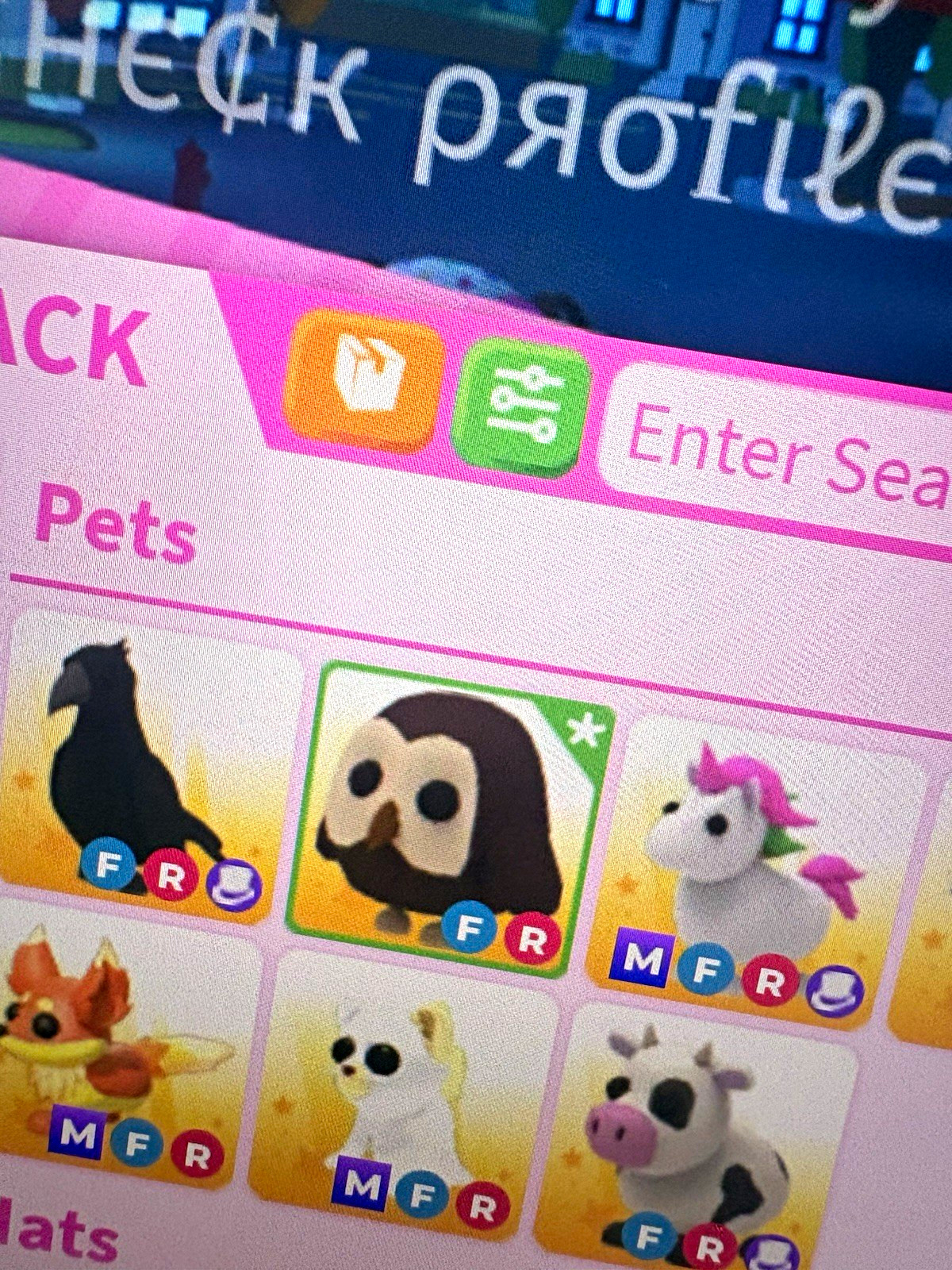 Adopt Me Owl Pet virtual full grown cheap & fast