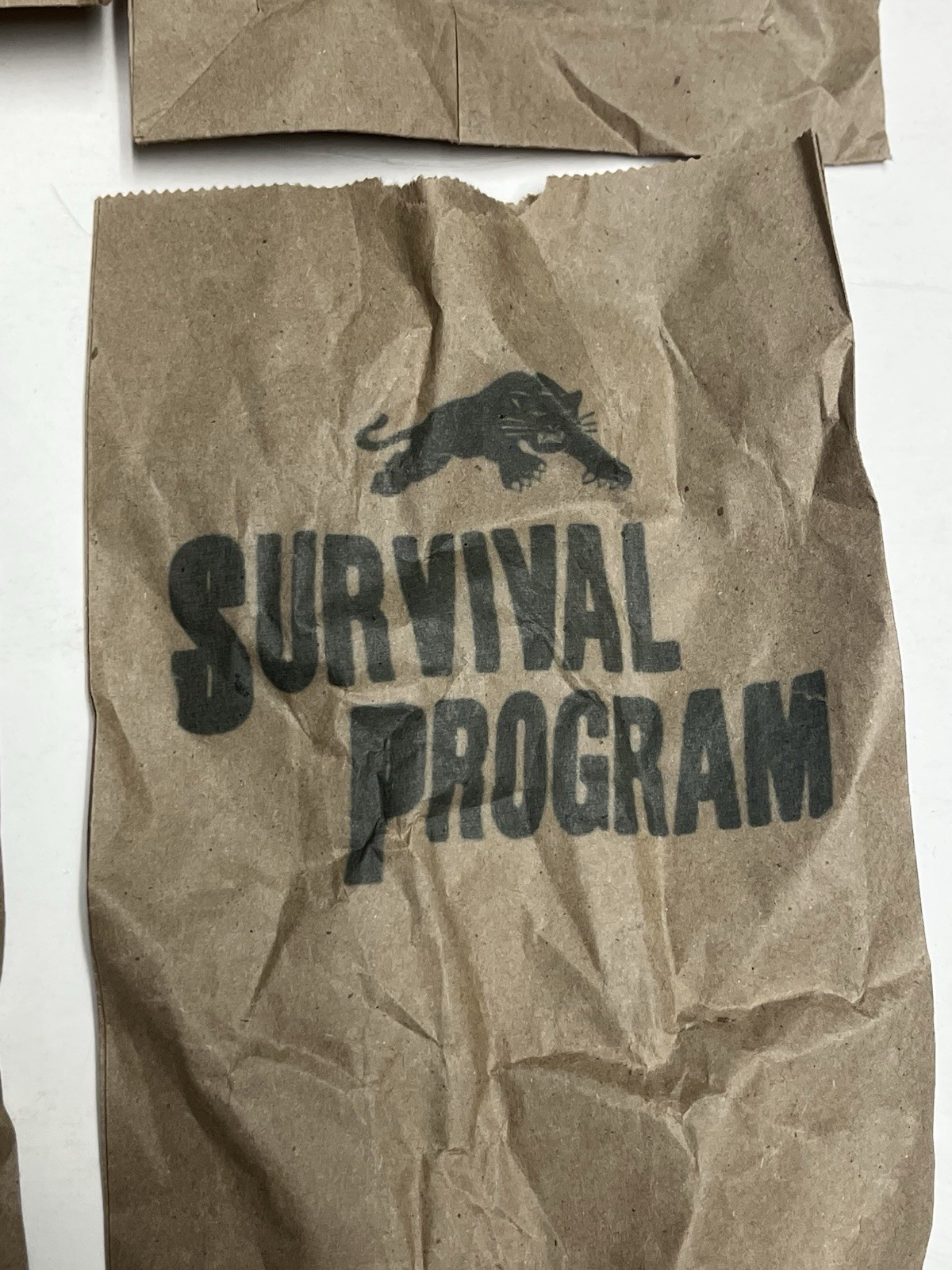 Vtg Black Panther Party Survival Food Program Youth Panthers Paper Lunch Bag 6pc