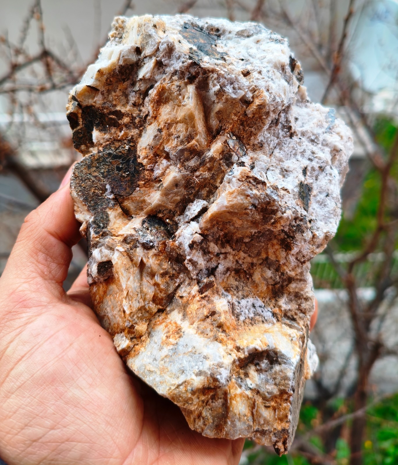 Biotite Crystals On Pegmatite Rock