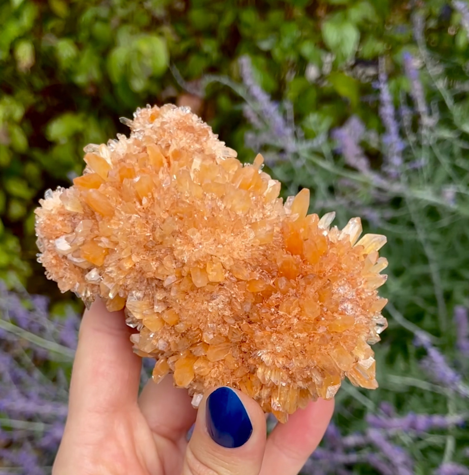 Creedite Crystals Superb Gemmy Orange Color From Mexico 9.6 Cm's