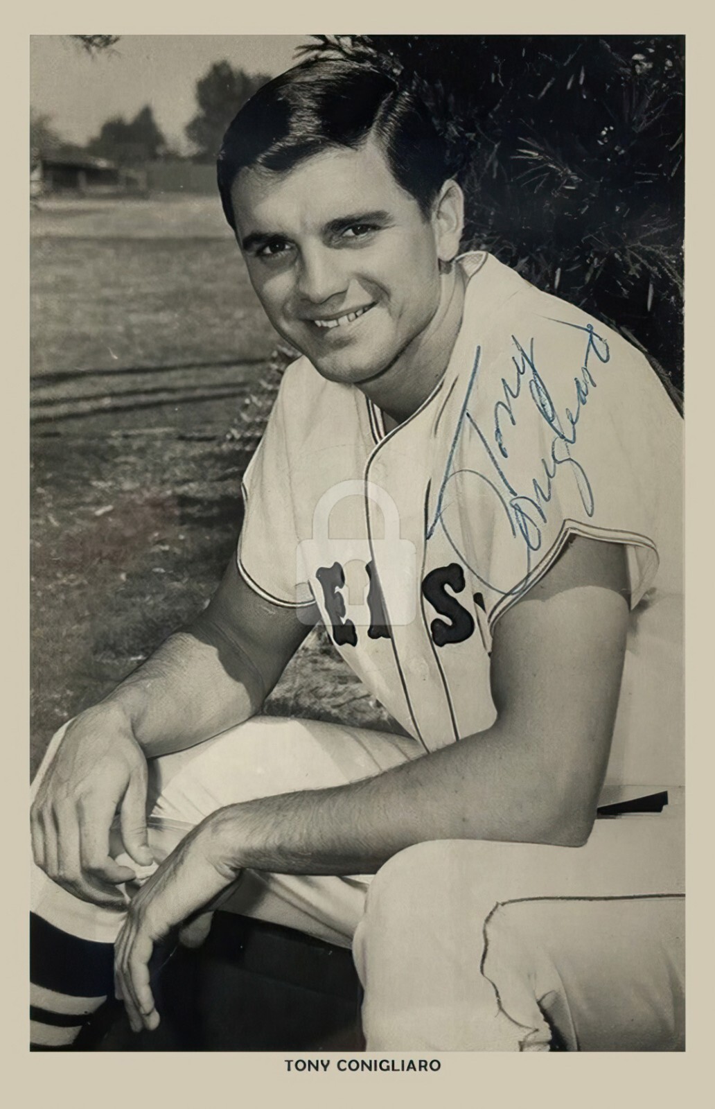 Tony Conigliaro -- Signed Vintage Photo Postcard Copy