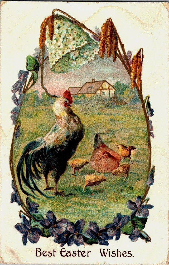 Vintage Victorian Postcard 1908 Best Easter Wishes - Rooster scene in an egg