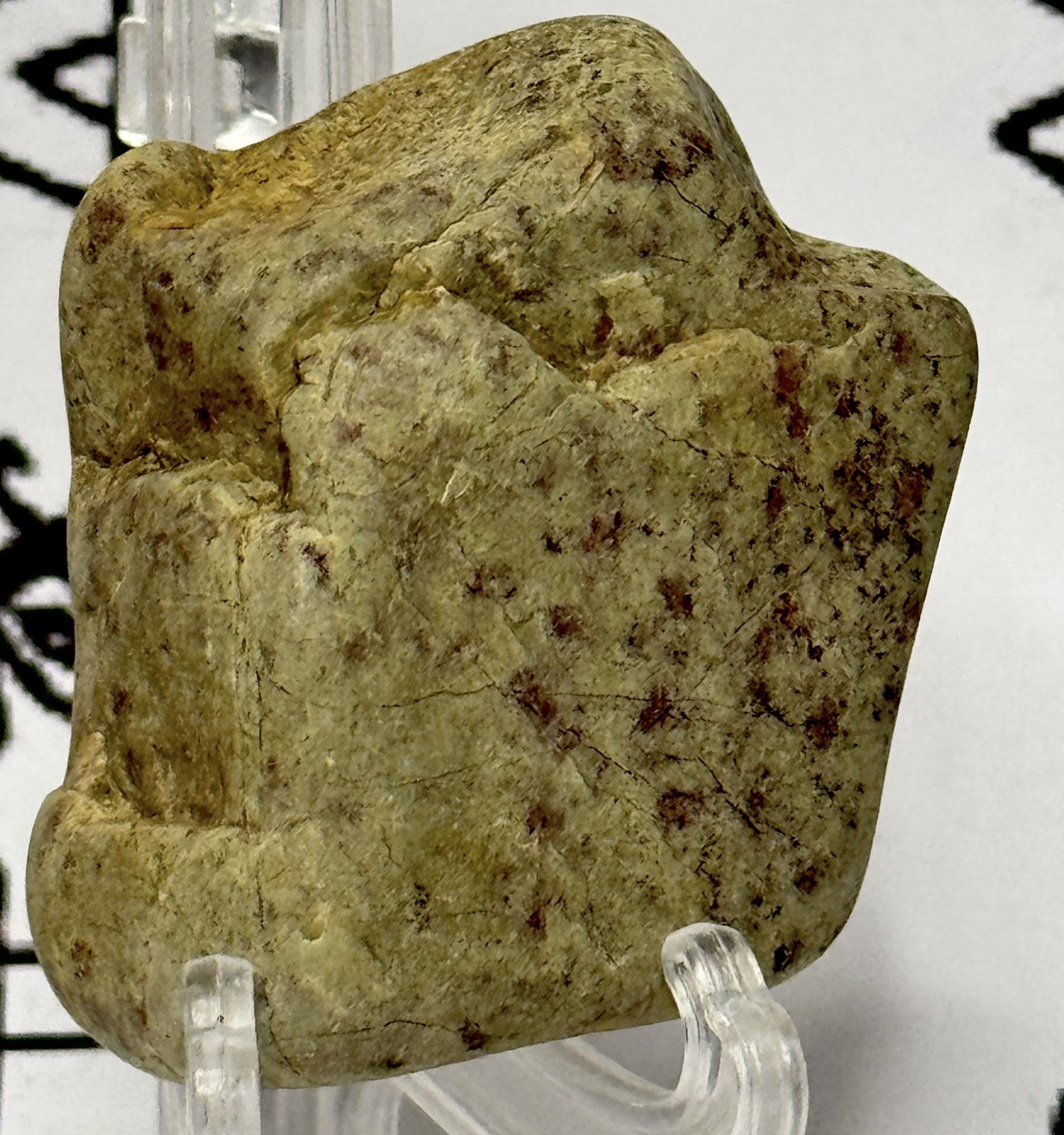 Ancient Man Made Authentic Hand Carved Stone Effigy  2.2 oz • VA 