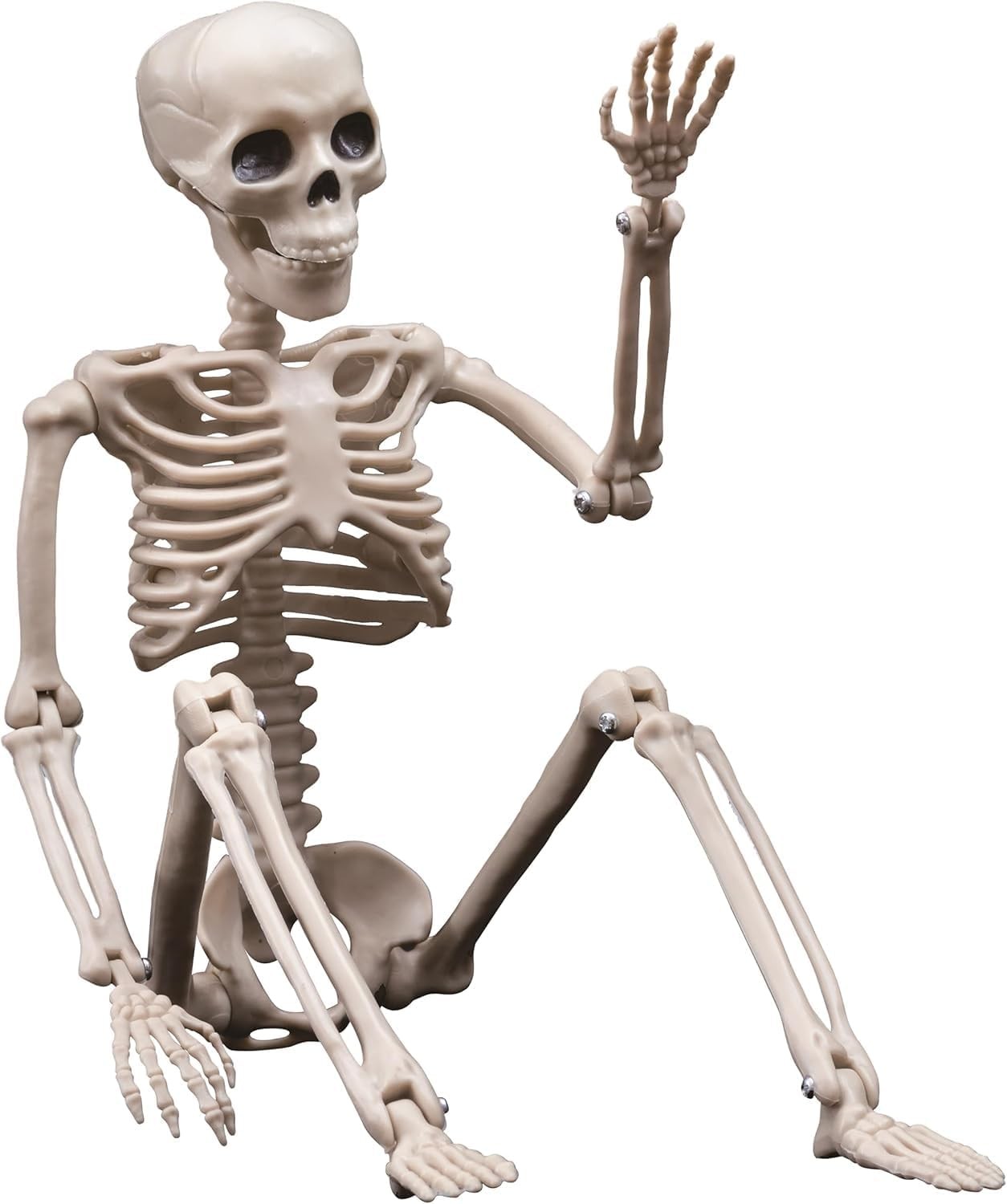 Small Hanging Skeleton for Indoor Outdoor Halloween Decor, Halloween Skeleton