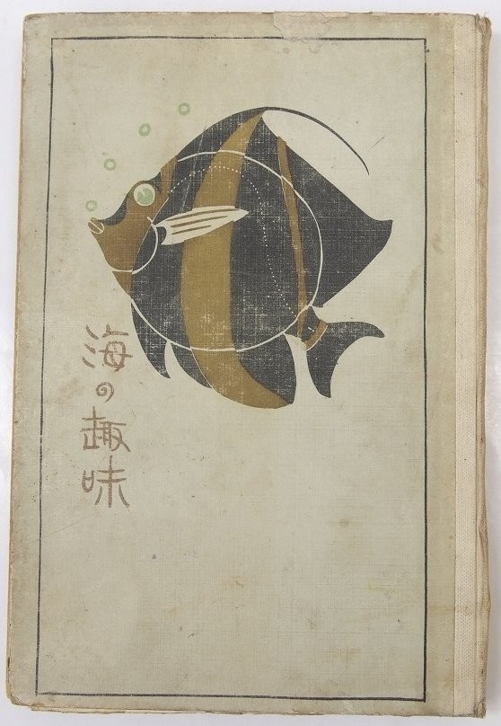 WWI Imperial Japanese Navy Maritime Ideology Book Naval Officer 1916