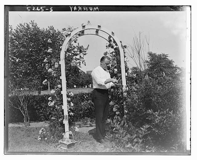 Photo:Billy Murray in Garden Under Arch, ca. 1915-1920
