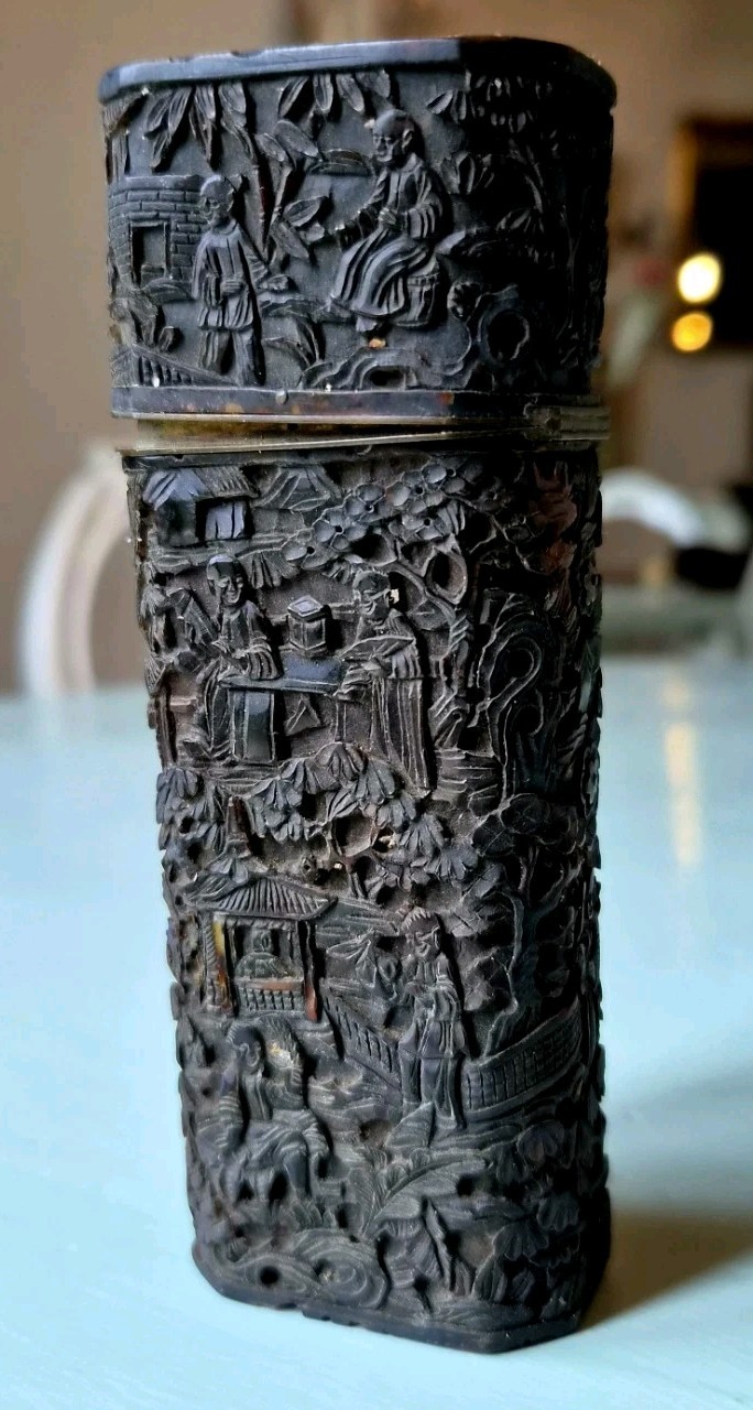 Rare handcarved Chinese Tortoise shell case & cover, 19th century, Qing Dynastie