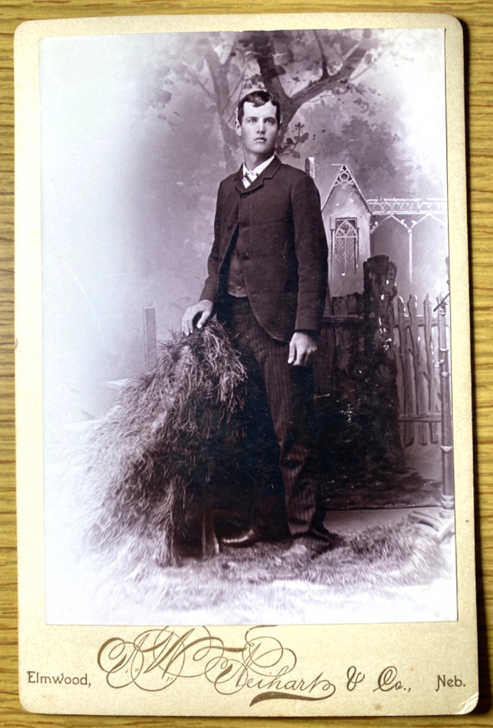 1890 Elmwood Nebraska Wilbur Wilson Stroup Genealogy Cabinet Card Photo Neihart