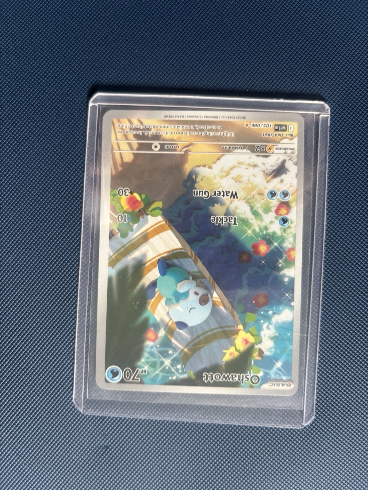 Oshawott 105/086 - SV White Flare Illustration Rare - English Pokémon TCG - 