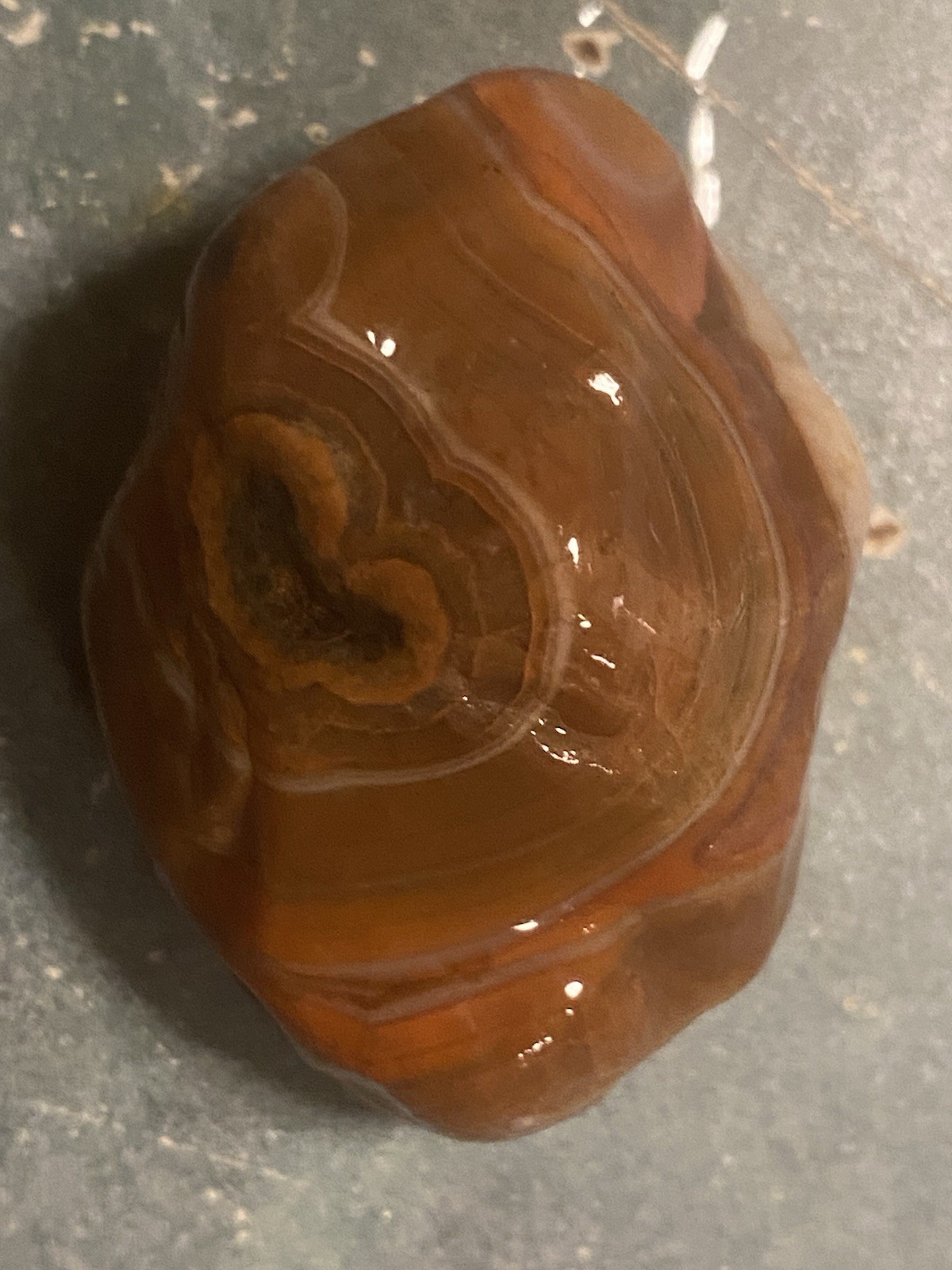 Beautiful  Argentine condor Agate