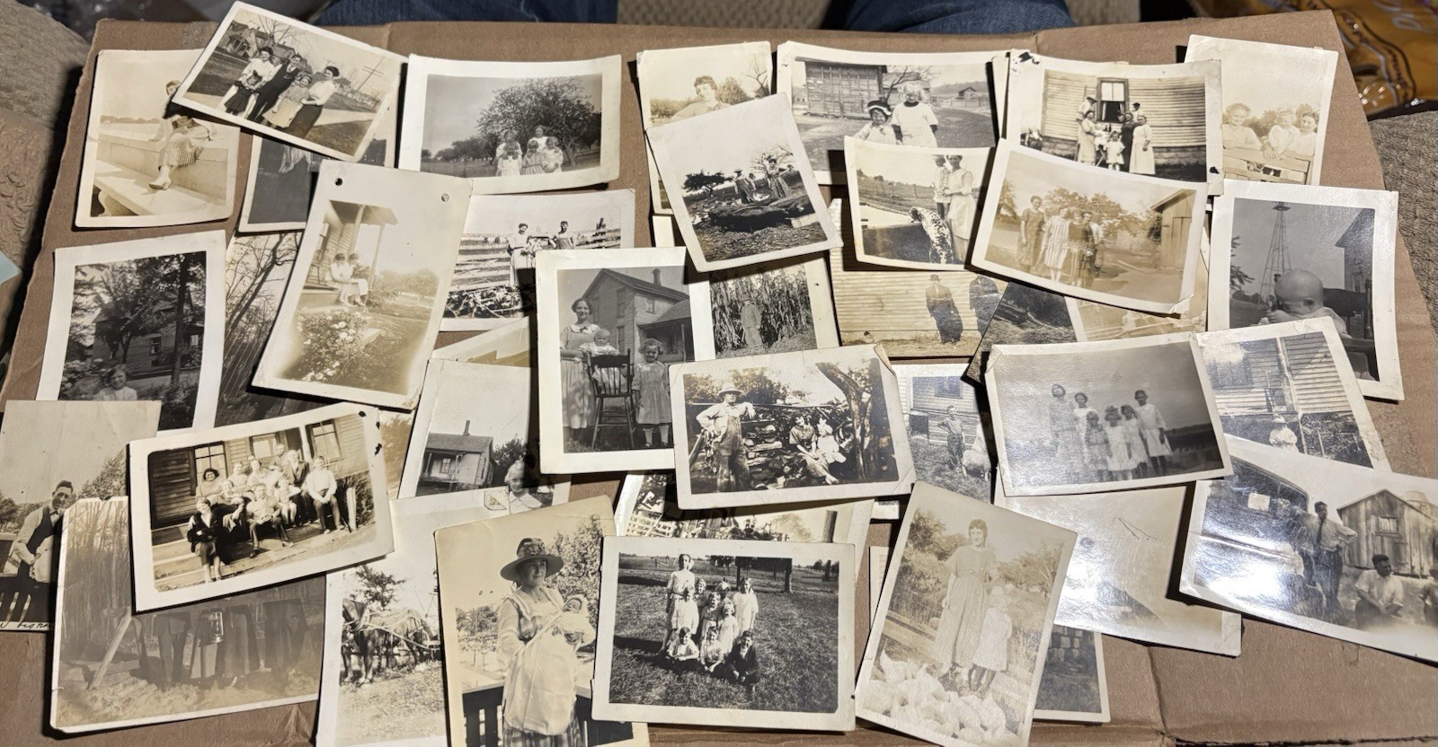 LOT 40 ORIGINAL EARLY 1900'S PHOTOS RURAL AMERICAN FARM PEOPLE HORSES BARN (1-A)