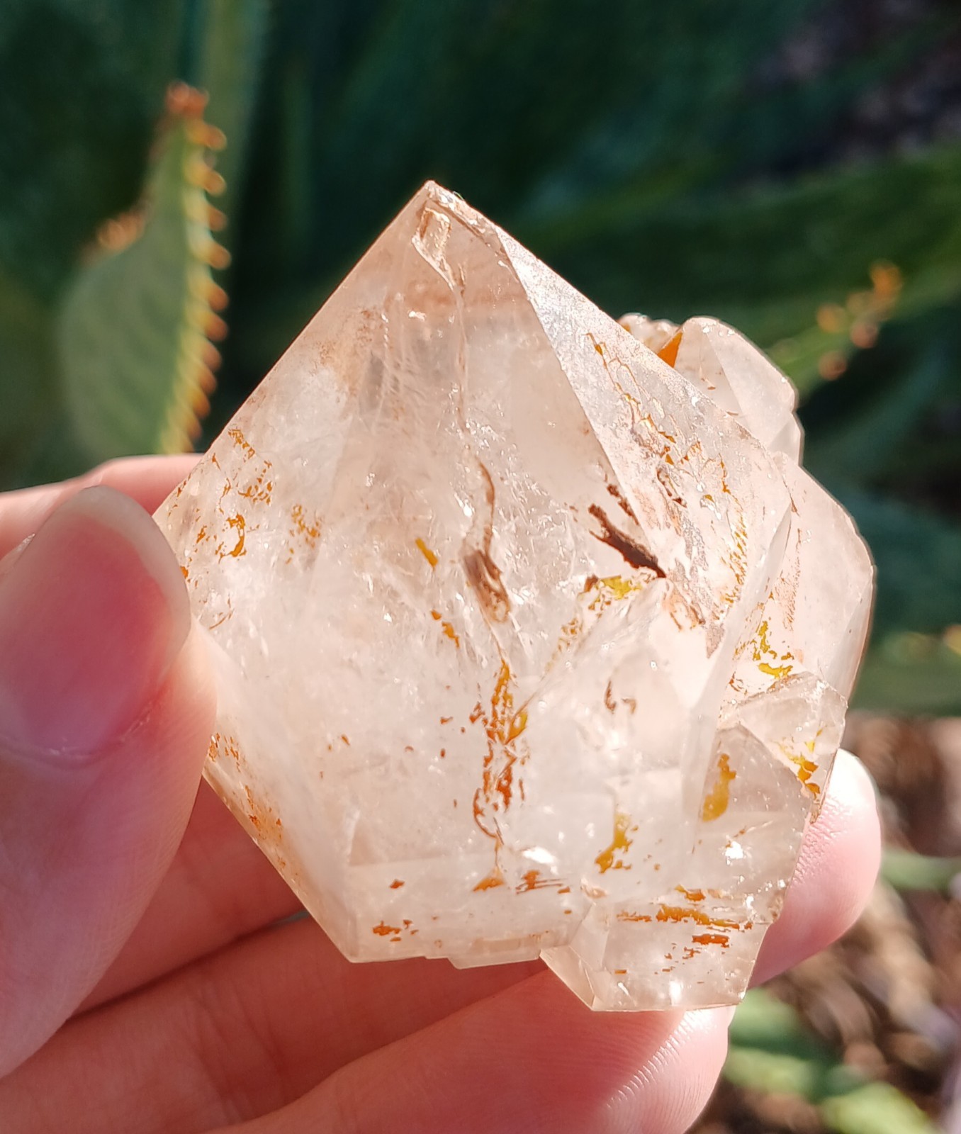67g Natural Exoskeleton ENHYDRO Quartz Crystal Point Cluster Reiki Specimen 
