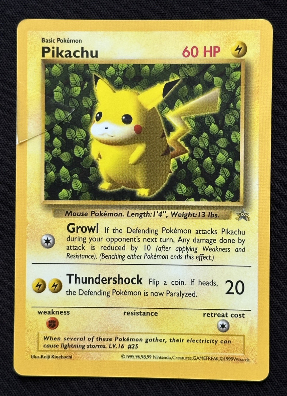 Ivy Pikachu CoroCoro Comics Gray Grey Star 1999 Japanese Glossy Pokemon Card HP