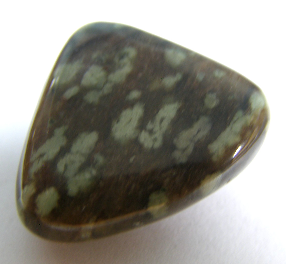 NUNDERITE TUMBLESTONE - QUARTZ & EPIDOTE - 2.3 x 2.1 cms 9.04 gms #2