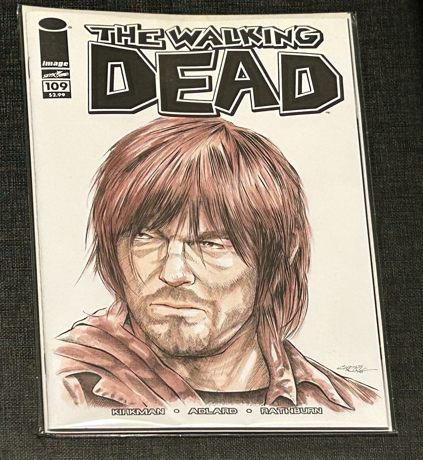 Image Comics The Walking Dead 109 Daryl Dixon Sketch Cover Artist Chris Ring