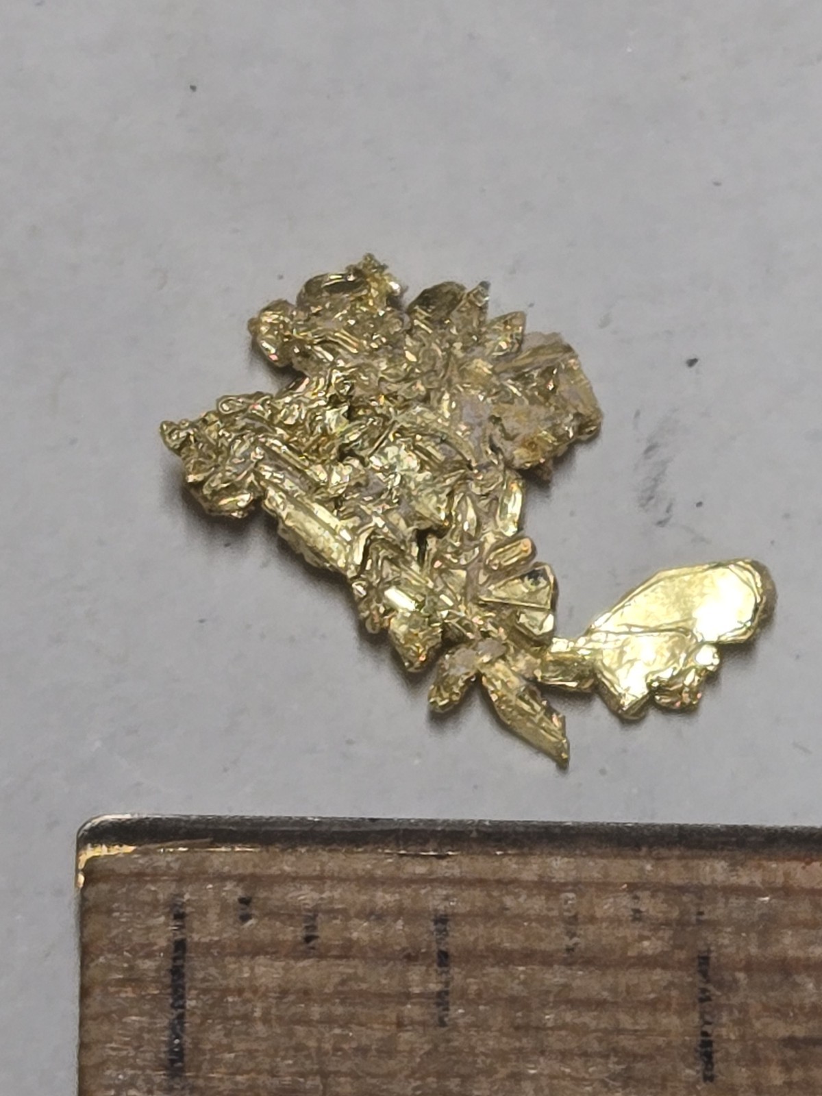 Beautiful California Gold specimen