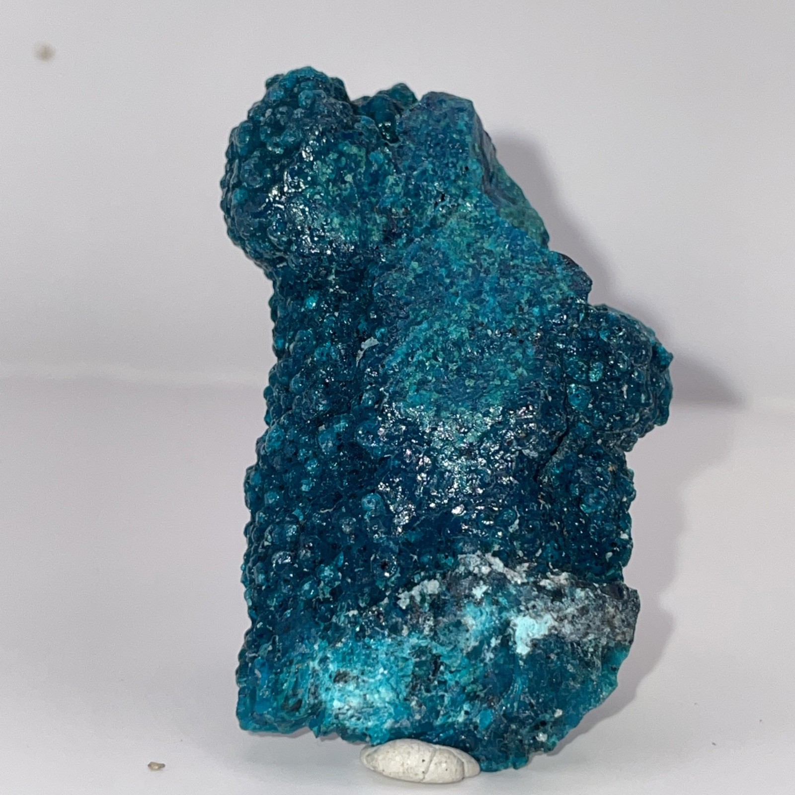 STUNNING RARE SMALL CABINET GEM BLUE MALACHITE-PERU