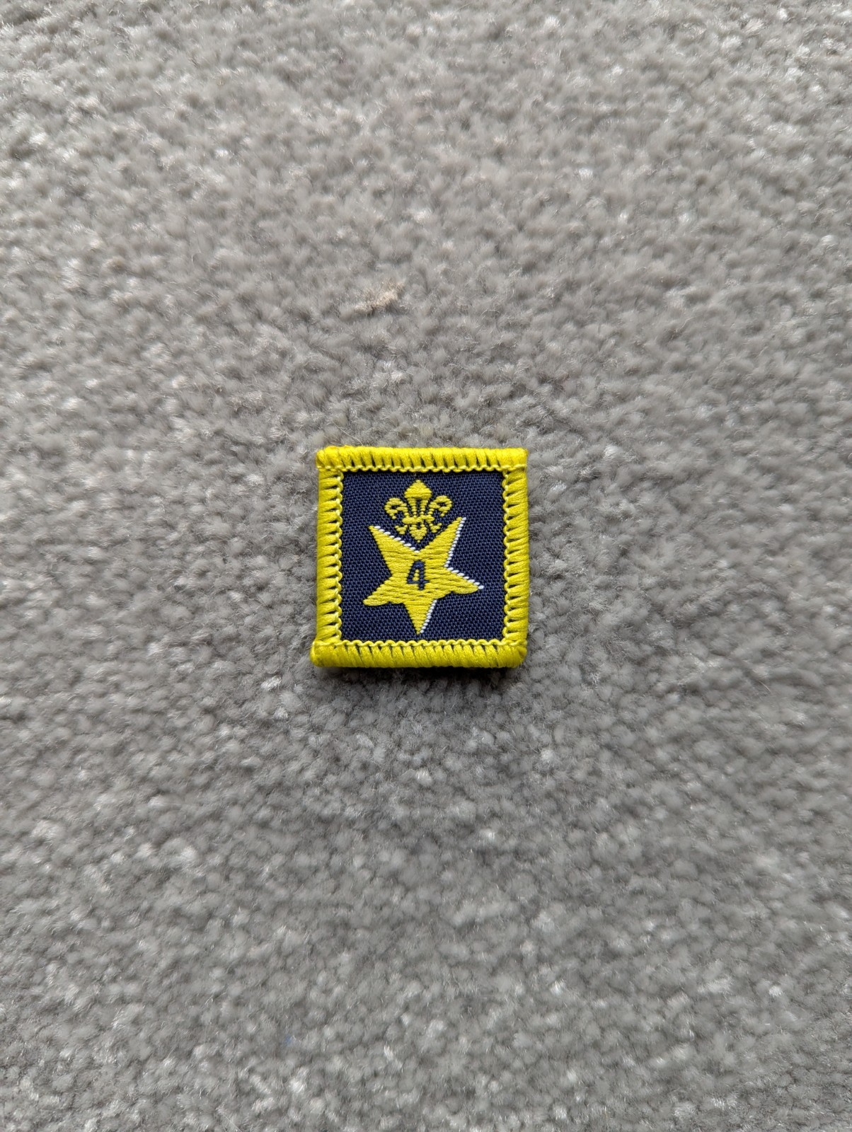 Scout Joining In Level 4 Old Logo New