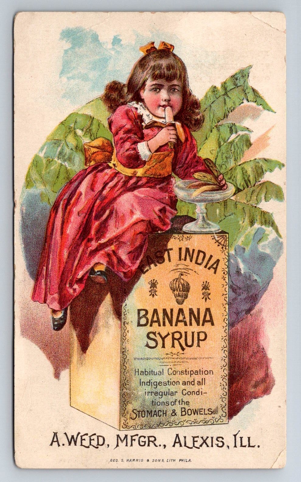 1880s Victorian Trade Card Rare East India Banana Syrup Laxitive Alexis IL 1880s Victorian Trade Card Rare East India Banana Syrup Laxitive Alexis IL