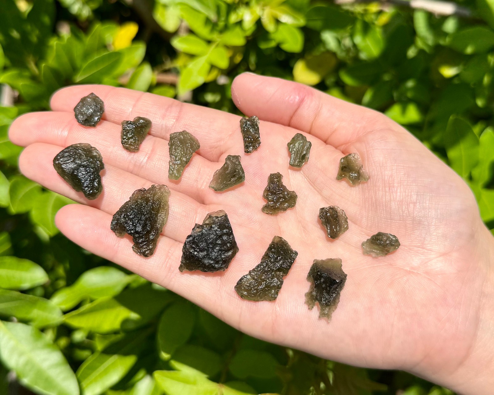 Natural Moldavite Crystals - 100% Genuine Moldavite From Czech Republic