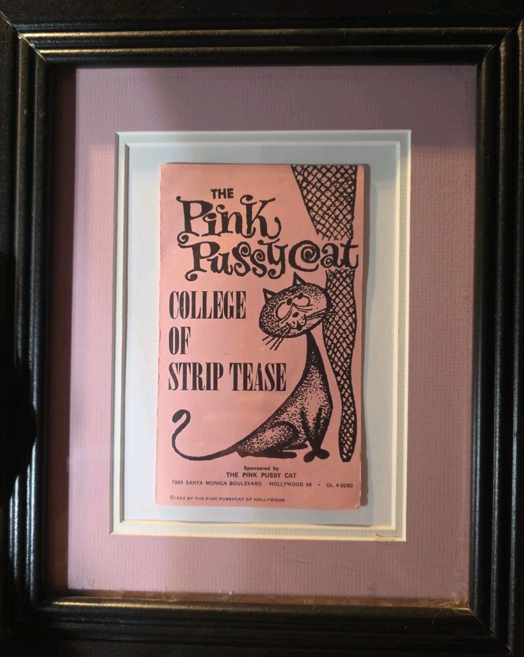 Vintage Original 1962 Pink Pussy Cat College of Strip Tease Brochure Rare  