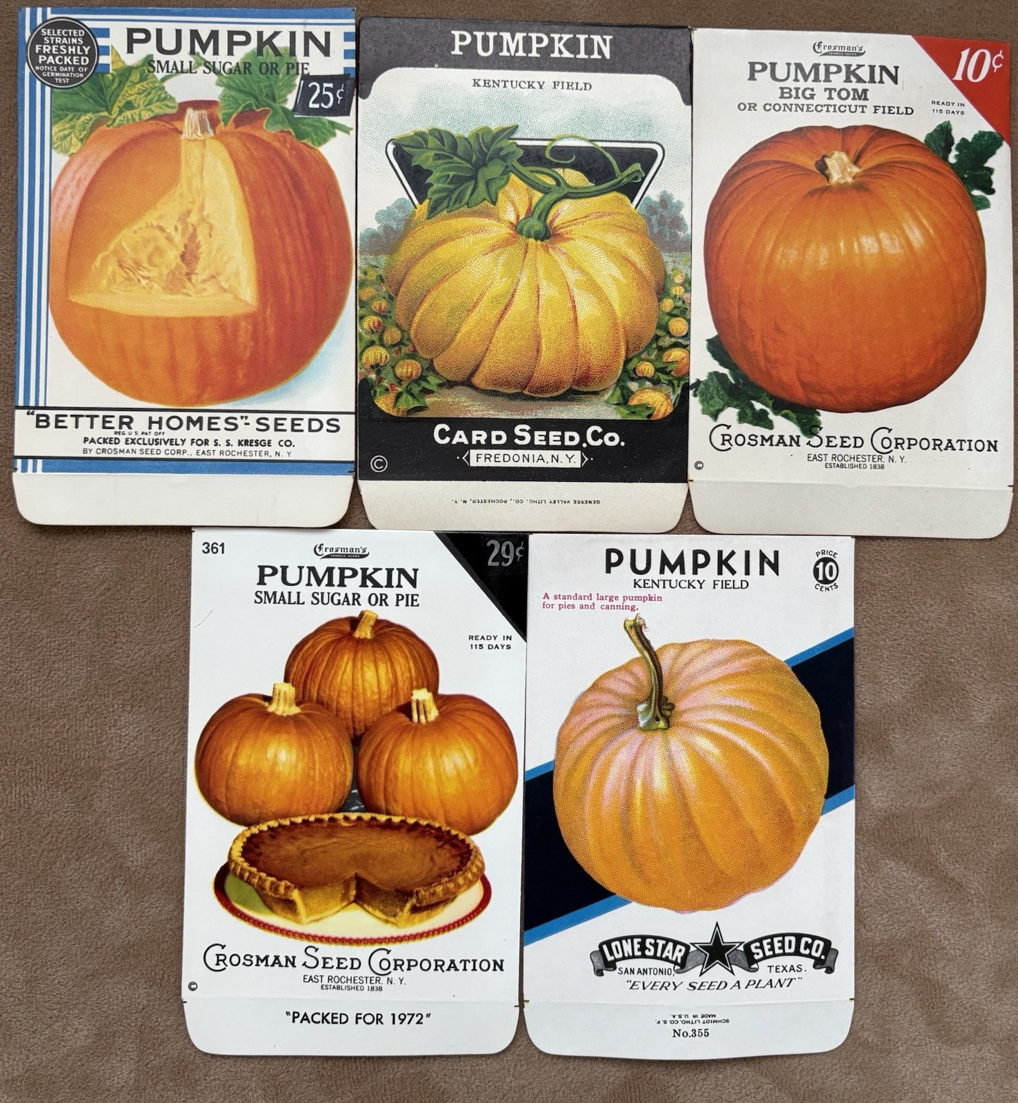 Lot of 5 Different Vintage Pumpkin Seed Packets, Old Stock, Unused Halloween