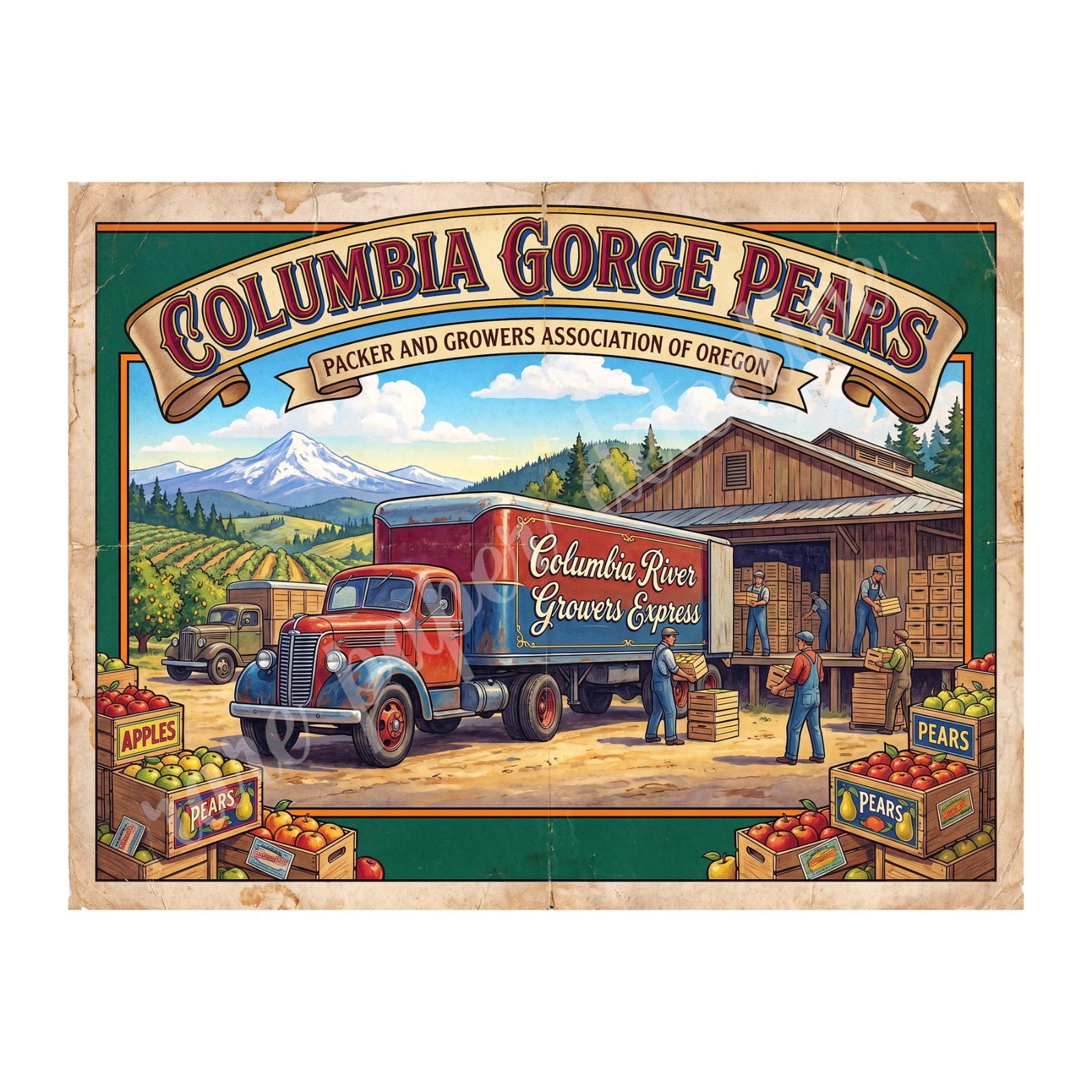 Columbia River Gorge Pears 1950s Retro Style Fruit Crate Label 10.5