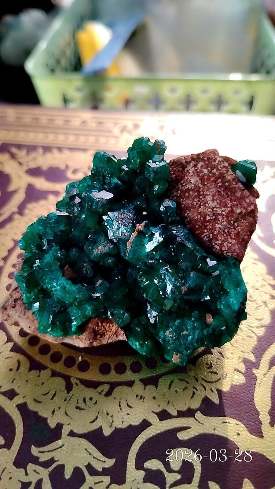 86g Dioptase from DR Congo