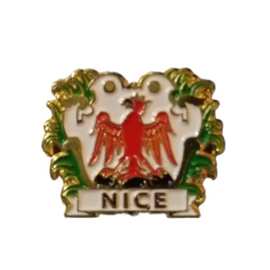 Nice France Coat of Arms Travel Souvenir Pin