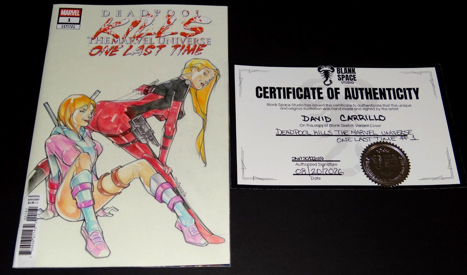 DEADPOOL KILLS THE MARVEL UNIVERSE ONE LAST TIME #1 SKETCH VARIANT (2025 MARVEL)