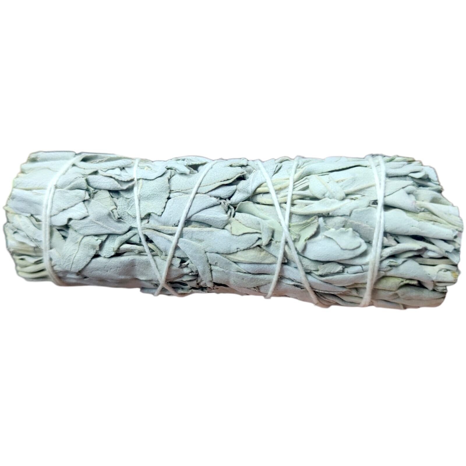 White Sage - 11cm Salvia Blanca of the Best Quality