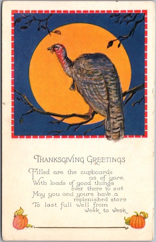 Vintage 1910s THANKSGIVING GREETINGS Postcard Turkey in Tree / Full Moon -Unused