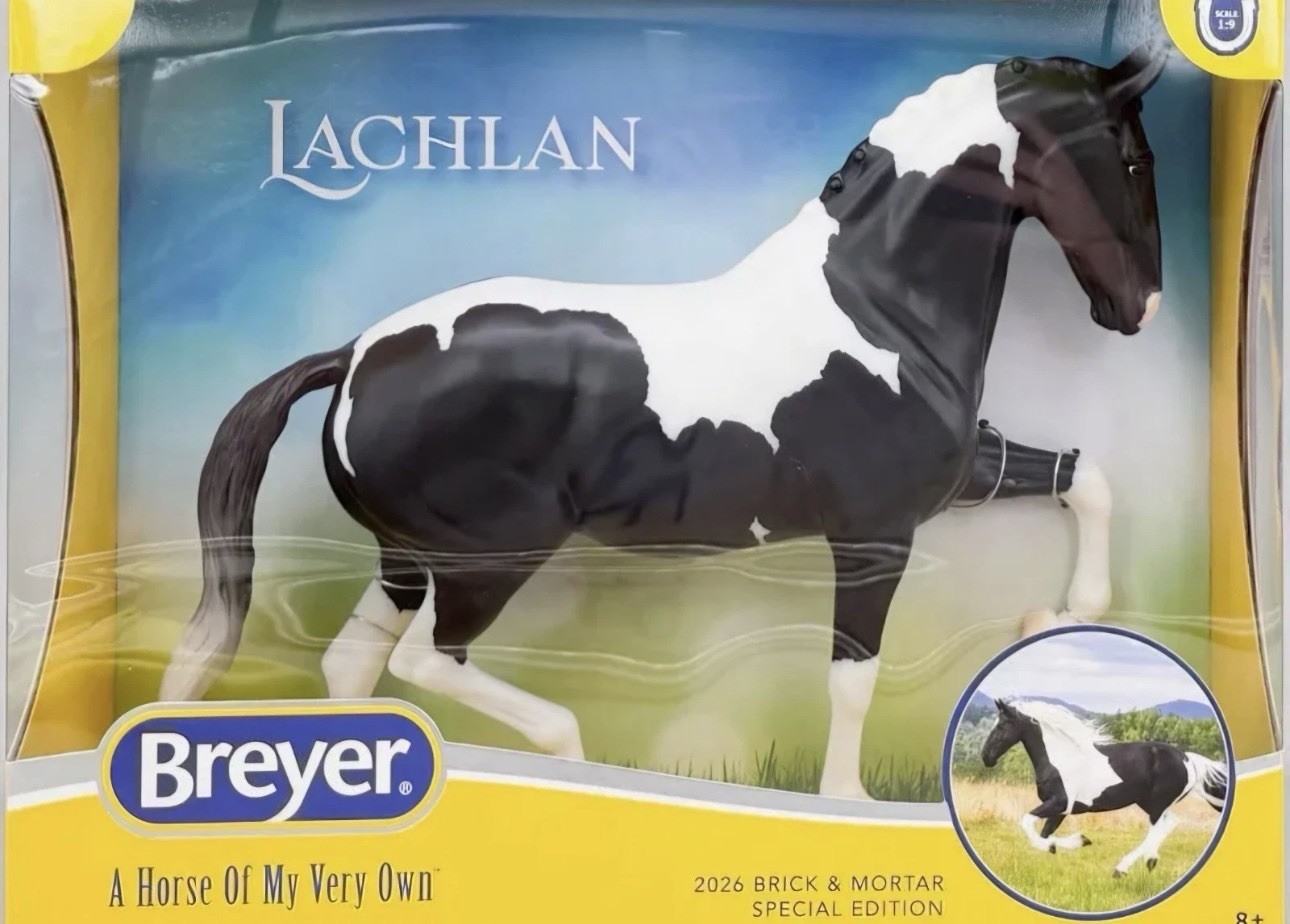 Breyer Lachlan Special Run- Brick And Mortar Traditional Model -B/W Pinto