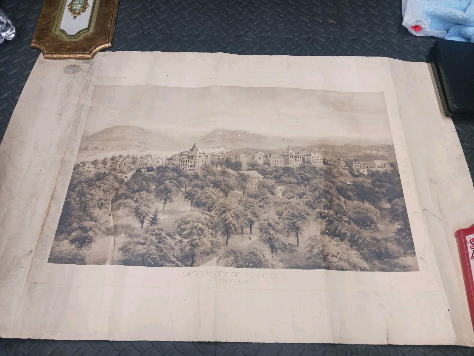 Rare 1909 Large Antique University of Tennessee Knoxville Panoramic Print - W.T.