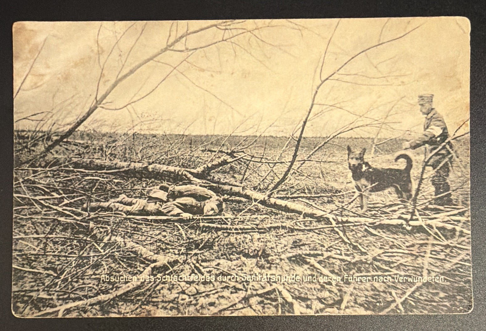 WWI RPPC Real Photo Postcard German Soldier with Messenger War Dog Trench Art