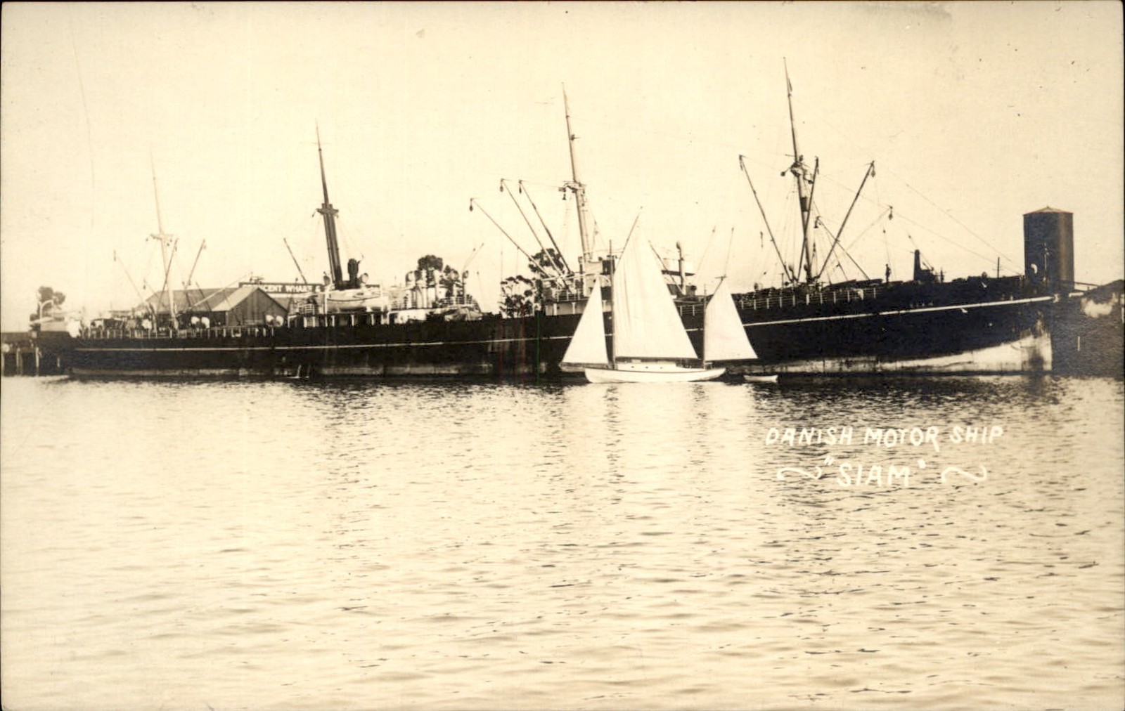 Danish motor Ship SIAM San Pedro Los Angeles Possibly c1910 RPPC bhn