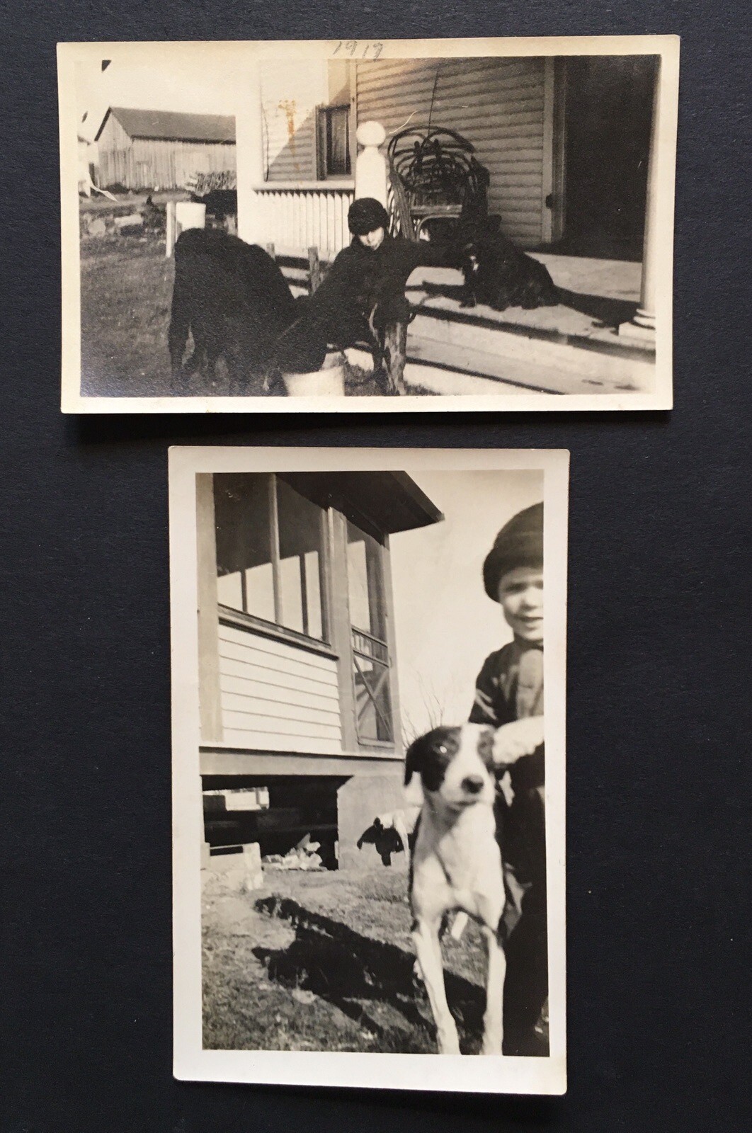 Lot of 2 Photographs 1917 & 1925 Children with Dogs Black & White Photos