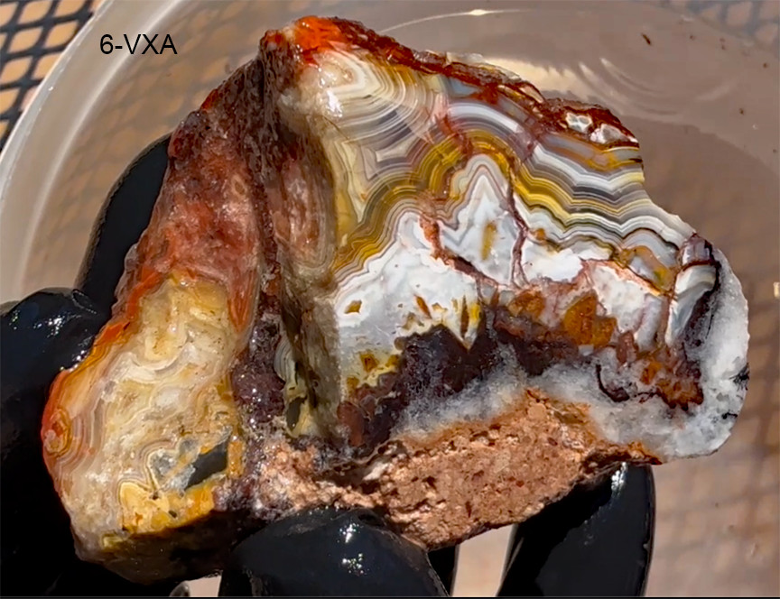Laguna Lace Agate 165g. A++ Supreme Grade w/ Insane Matrix - SEE VIDEO